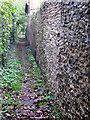 Path onto Leighton Road