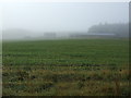 Farmland, Garden House Farm