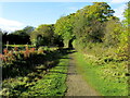 In Quarry Moor Nature Reserve