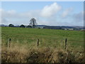 NZ0189 : Farmland, Harwood Gate by JThomas