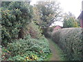 Footpath at Kirkburn