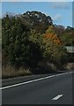 Autumn colour beside the M5