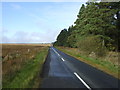 NY9990 : Minor road heading west beside the Harwood Forest by JThomas