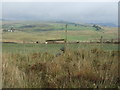 Footpath towards Elsdon