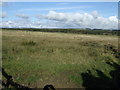 NZ0186 : Farmland near Chesters by JThomas