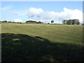 NZ0288 : Farmland near Hartington Hall by JThomas