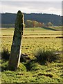 NR8492 : Standing stones at Dunamuck by Patrick Mackie
