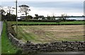 J2414 : The old cemetery at Lisnacree viewed from the A2 by Eric Jones