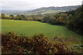 Field near Great Wood