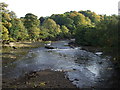 The River Wansbeck from Highford Bridge