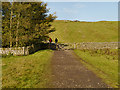 NY7968 : The Path to Housesteads by David Dixon