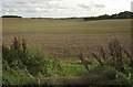 Arable land by the Portway