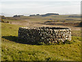 NY7868 : Well at Housesteads by David Dixon
