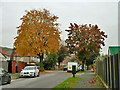 Autumn, Maida Avenue