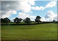 Cropland east of Lisburn Road, Hillsborough