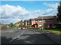 Houses in Kilwarlin Way