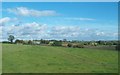 Pasture land on the Ballynahinch Road