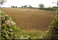 Field by the Portway