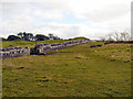 NY6166 : Hadrian's Wall, Birdoswald Roman Fort by David Dixon