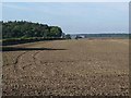 Ploughed field at Wildmoor