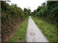 Porteath Tramroad at the passing loop