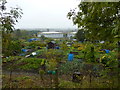 Allotments with gasometers