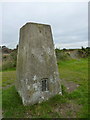 North Downs trig - closeup