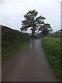 Minor road leading north to Woodrow Farm