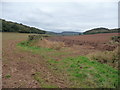 Field edge footpath