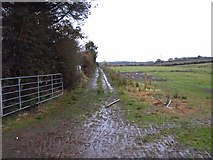 H1890 : A farm track by Richard Webb