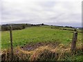 Carrickawillin Townland