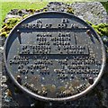 Chartist Memorial (detail)