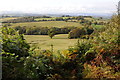 Farmland above the Usk valley