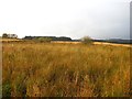 H1590 : Wetland on Lismullyduff Mountain by Richard Webb