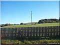 Powerlines by the shores of Finnebrogue Lough