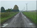 TL3897 : Muddy Middle Road near March by Richard Humphrey