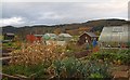 Biggar Gardens in Autumn