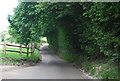 Markwick Lane near Little Burgate Farm