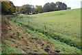 Field near Pen-y-Cae-Mawr