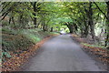 Country road near Pen-y-Cae-Mawr