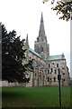 SU8504 : Chichester Cathedral from the east by Julian P Guffogg