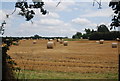 A field of bales