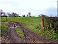 Muddy field entrance, Usnagh