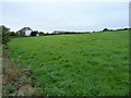 Roadside field near Parc Erissey