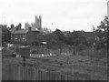 Allotments, Canterbury, 1965