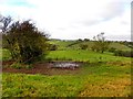 Kilcam Townland