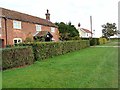 Cottages at Danesmoor