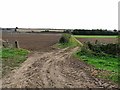 Farm track near Danesmoor