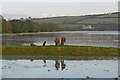 SS5233 : Two Men & A Dog Beside The River Taw by Roger A Smith