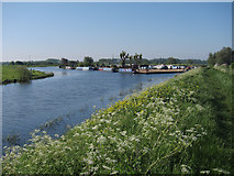 TL5374 : Confluence of Great Ouse and Cam by Hugh Venables